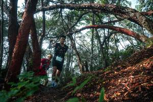 BIB: 
                            <button type="button" onclick="openModal(26344238)" class="btn btn-primary btn-sm float-right btn-popup" data-toggle="modal" data-target=".modal-high-quality">
                        <i class="fas fa-shopping-cart"></i> Add to Cart
                    </button>
                                            <button type="button" onclick="isThisMe(26344238, true)" class="btn btn-success btn-sm float-right btn-popup btn-isme hidden" data-toggle="tooltip" data-placement="bottom" title="นี่คือรูปของคุณใช่ไหม คลิกที่นี่เพื่อเอาเข้าอัลบั้ม">
                        <i class="fas fa-plus"></i> Add to album
                    </button>
                    <button type="button" onclick="isThisMe(26344238, false)" class="btn btn-warning btn-sm float-right btn-popup btn-isnotme hidden">
                        <i class="fas fa-ban"></i> Remove from album
                    </button>